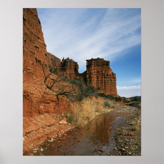 Wassersuche Poster (Vorne)