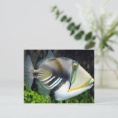 Wasserszenen lösen Fische aus Postkarte (Stehend Vorderseite)