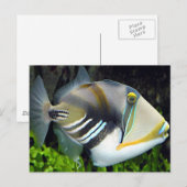 Wasserszenen lösen Fische aus Postkarte (Vorne/Hinten)