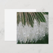 Wassertröpfchen Feiertagskarte (Vorne/Hinten)
