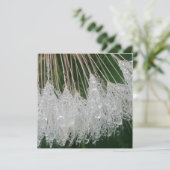 Wassertröpfchen Feiertagskarte (Stehend Vorderseite)