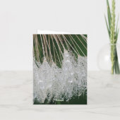 Wassertröpfchen Feiertagskarte (Rückseite)
