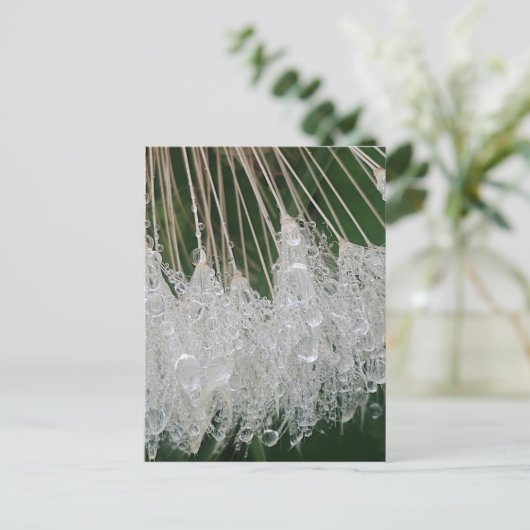 Wassertröpfchen Postkarte (Stehend Vorderseite)