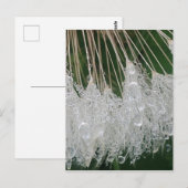 Wassertröpfchen Postkarte (Vorne/Hinten)