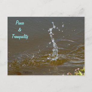 Wassertröpfchen Ruhe Postkarte