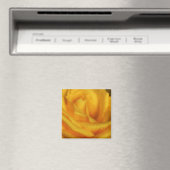 Wassertropfen an der eleganten Gelben Rose Magnet (In Situ (Geschirrspüler))