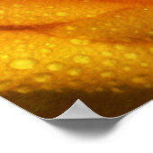 Wassertropfen an der eleganten Gelben Rose Poster (Ecke)