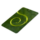 Wassertropfen an einer Rebe Magnet (Linke Seite)