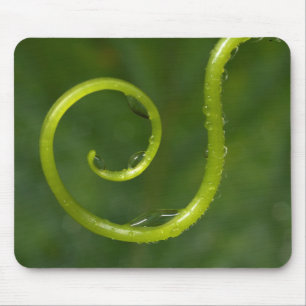 Wassertropfen an einer Rebe Mousepad