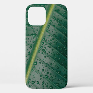 Wassertropfen auf Bananenblättern Case-Mate iPhone Hülle