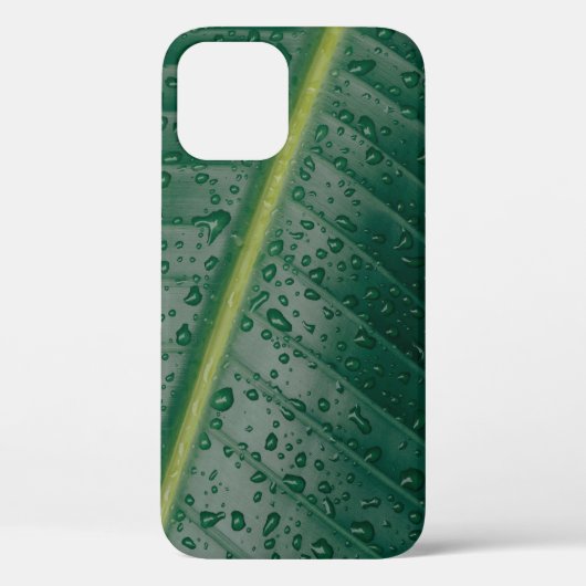 Wassertropfen auf Bananenblättern Case-Mate iPhone Hülle (Rückseite)
