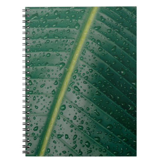 Wassertropfen auf Bananenblättern Notizblock (Vorderseite)