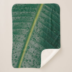 Wassertropfen auf Bananenblättern Sherpadecke