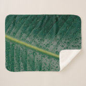 Wassertropfen auf Bananenblättern Sherpadecke (Vorderseite (Horizontal))