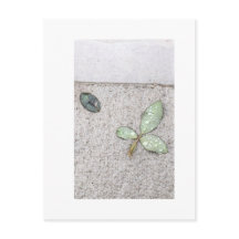 Wassertropfen auf Blätter Fotografie