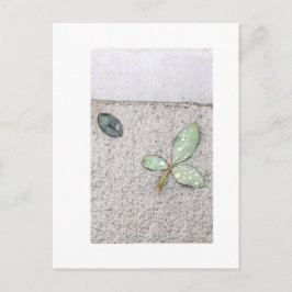 Wassertropfen auf Blätter Fotografie Postkarte