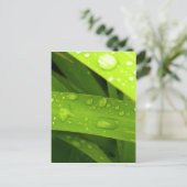 Wassertropfen auf Blätter Postkarte (Stehend Vorderseite)