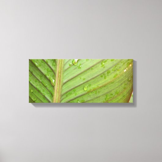Wassertropfen auf dem Foto des Leaf Leinwanddruck (Vorderseite)