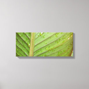 Wassertropfen auf dem Foto des Leaf Leinwanddruck