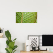 Wassertropfen auf dem Foto des Leaf Poster (Heimbüro)