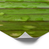 Wassertropfen auf dem Foto des Leaf Poster (Ecke)