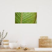 Wassertropfen auf dem Foto des Leaf Poster (Küche)