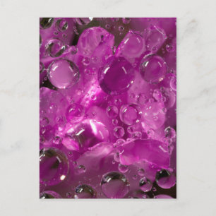 Wassertropfen auf der Blume, Kalifornien Postkarte