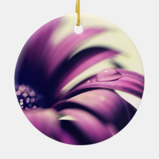 Wassertropfen auf der Lila Gerbera Daisy Keramik Ornament (Hinten)