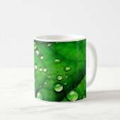 Wassertropfen auf einem Blatt Kaffeetasse (VorderseiteRechts)