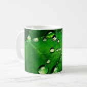 Wassertropfen auf einem Blatt Kaffeetasse (Vorderseite Links)