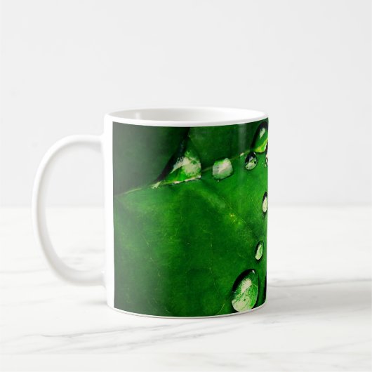 Wassertropfen auf einem Blatt Kaffeetasse (Links)