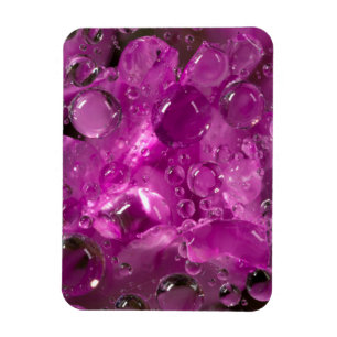 Wassertropfen auf einer Blume, Kalifornien Magnet