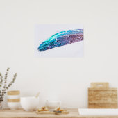 Wassertropfen auf einer Feder Poster (Küche)