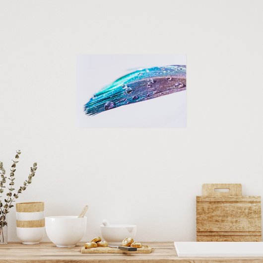 Wassertropfen auf einer Feder Poster (Küche)