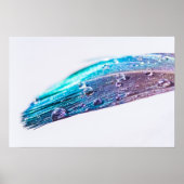 Wassertropfen auf einer Feder Poster (Vorne)