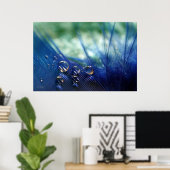 Wassertropfen auf Feather Poster (Heimbüro)