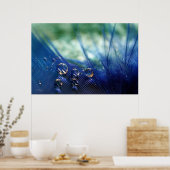 Wassertropfen auf Feather Poster (Küche)