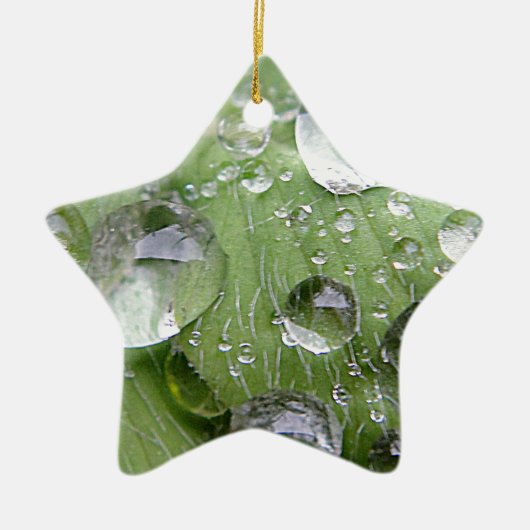 Wassertropfen auf grünem Blatt Keramikornament (Vorne)