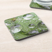 Wassertropfen auf grünem Blatt Untersetzer (Linke Seite)