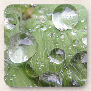 Wassertropfen auf grünem Blatt Untersetzer