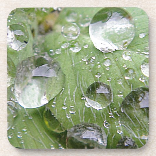 Wassertropfen auf grünem Blatt Untersetzer (Vorderseite)