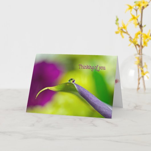 Wassertropfen auf Lilienblättern Karte (Gelbe Blume)