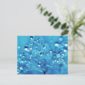 Wassertropfen auf Lüstern Postkarte (Stehend Vorderseite)