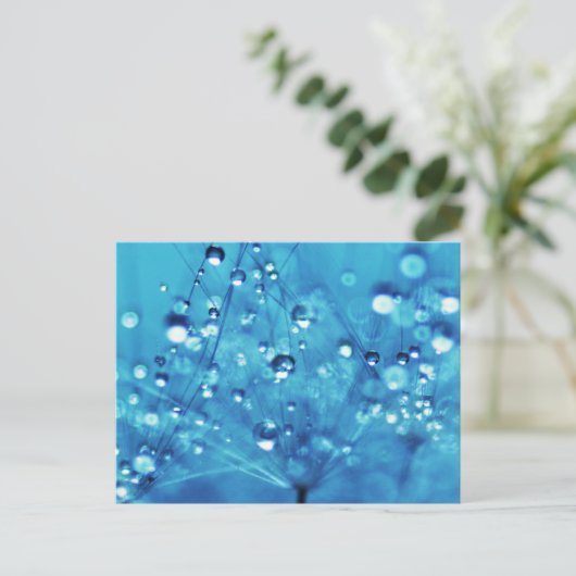 Wassertropfen auf Lüstern Postkarte (Stehend Vorderseite)