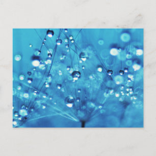 Wassertropfen auf Lüstern Postkarte