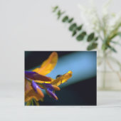 Wassertropfen auf Petalen Postkarte (Stehend Vorderseite)