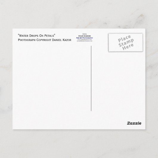 Wassertropfen auf Petalen Postkarte (Rückseite)