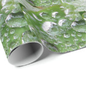 Wassertropfen aus grünem Verpackungspapier Geschenkpapier (Rolleneckpunkt)