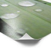Wassertropfen Fotodruck (Ecke)