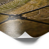 Wassertropfen im Spinnennetz Fotodruck (Ecke)